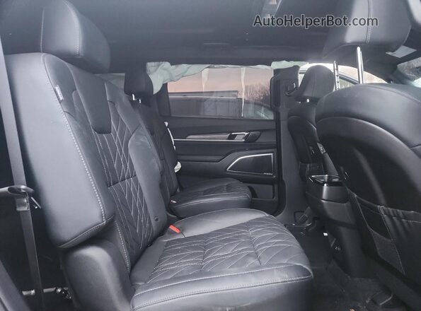 5XYP5DGC0RG515451 2024 KIA TELLURIDE Blue Widok wnętrza z tyłu