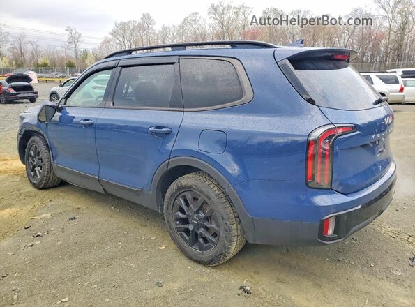 5XYP5DGC4RG529370 2024 KIA TELLURIDE Синий Задняя левая четверть