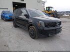 2024 Kia Telluride Sx X-line Black vin: 5XYP5DGC7RG517827