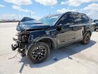 2024 Kia Telluride Черный vin: 5XYP5DGC8RG427344