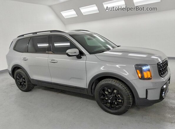 5XYP5DGC9RG437347 2024 KIA TELLURIDE Серый Передняя правая четверть