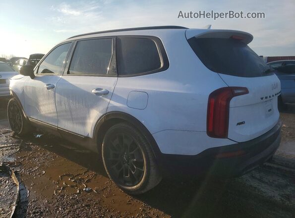 5XYP5DHC2NG209103 2022 KIA TELLURIDE White უკანა მარცხენა