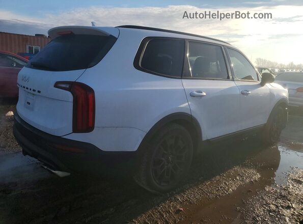 5XYP5DHC2NG209103 2022 KIA TELLURIDE White უკანა მარჯვენა