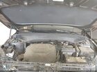 2024 Kia Telluride S Black vin: 5XYP64GC2RG465018