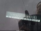 2024 Kia Telluride S Черный vin: 5XYP6DGC3RG440385