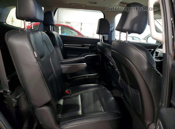 5XYP6DGC8RG521074 2024 KIA TELLURIDE Черный Вид задней части салона