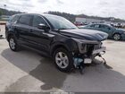 2024 Kia Sorento Lx Black vin: 5XYRG4JC2RG279008