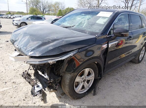 5XYRG4JC4RG252862 2024 KIA SORENTO Black 