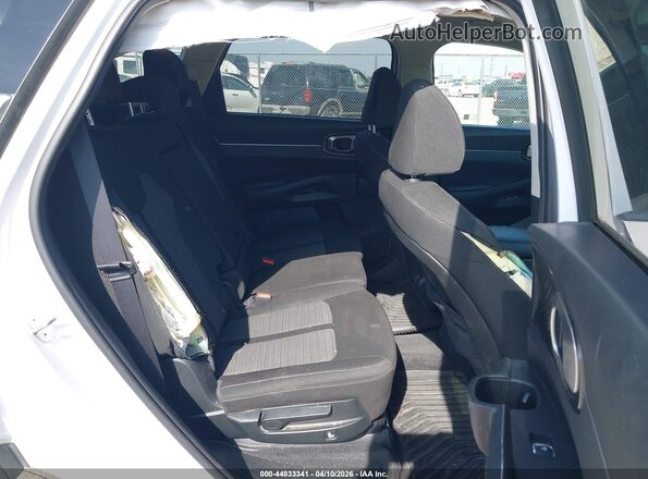 5XYRG4JCXRG281668 2024 KIA SORENTO Белый Вид наклейки с VIN-кодом