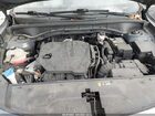 2022 Kia Sorento S Green vin: 5XYRL4LC8NG136485