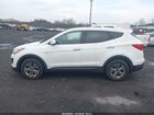 2016 Hyundai Santa Fe Sport 2.4l Белый vin: 5XYZTDLB6GG368089