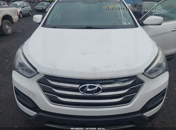 5XYZTDLB6GG368089 2016 HYUNDAI SANTA FE SPORT Белый Вид спереди
