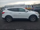 2016 Hyundai Santa Fe Sport 2.4l Белый vin: 5XYZTDLB6GG368089