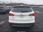 2016 Hyundai Santa Fe Sport 2.4l Белый vin: 5XYZTDLB6GG368089