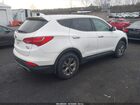 2016 Hyundai Santa Fe Sport 2.4l Белый vin: 5XYZTDLB6GG368089