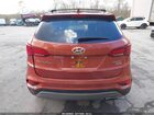2017 Hyundai Santa Fe Sport 2.4l Orange vin: 5XYZUDLB4HG492425