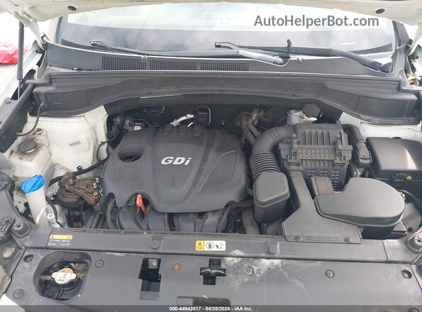 5XYZUDLB5GG312366 2016 HYUNDAI SANTA FE SPORT Белый Вид сзади