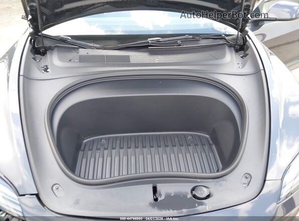 5YJ3E1EA3SF043385 2025 TESLA MODEL 3 Серый Вид сзади