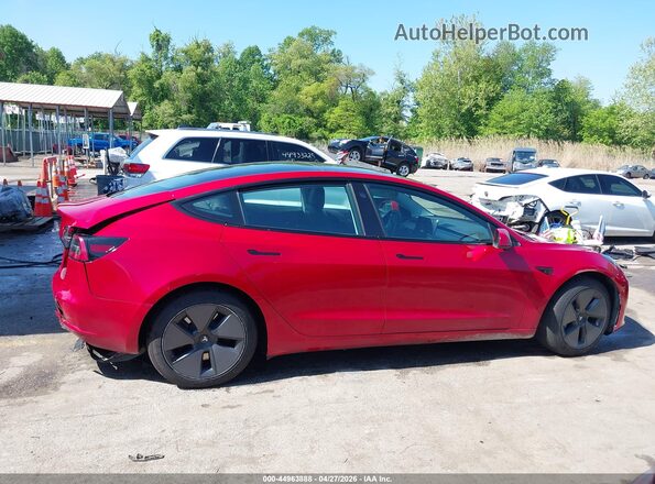 5YJ3E1EB5MF923743 2021 TESLA MODEL 3 Красный Вид задней части салона