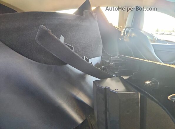 5YJYGDEE7LF054685 2020 TESLA MODEL Белый Вид задних сидений