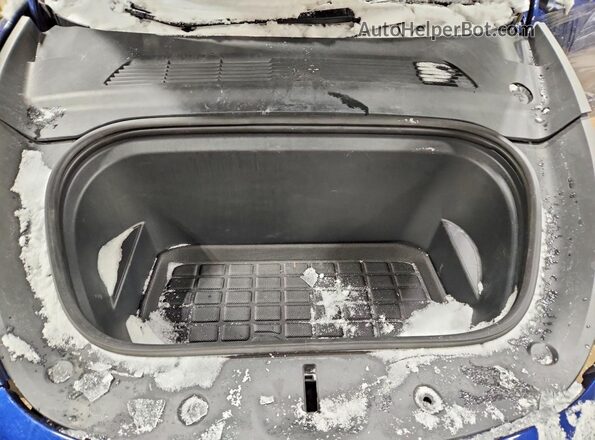 5YJYGDEE7MF073481 2021 TESLA MODEL Blue Widok komory silnika