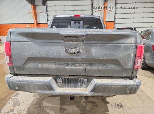 1FTEW1E47LFB59122 2020 FORD F150 Серый Вид сзади