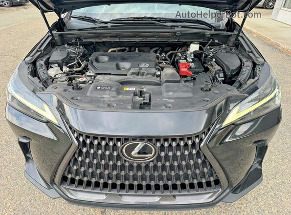 JTJADCAZ5N2001984 2022 LEXUS NX Черный Вид задней части салона