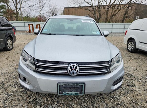 WVGBV7AX1HK000423 2017 VOLKSWAGEN TIGUAN Серебряный Вид сзади