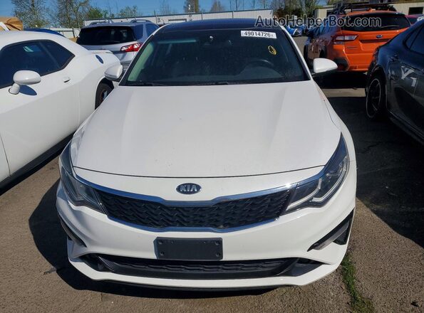 5XXGT4L36KG316829 2019 KIA OPTIMA Белый Вид сзади