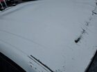 2025 Chevrolet Equinox Lt Белый vin: 3GNAXHEG2SL213873 Damage: Roof, Dent(S) W/ Paint Dmg, > 12 Inches