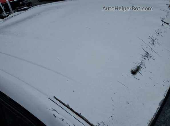 3GNAXHEG2SL213873 2025 CHEVROLET EQUINOX Белый 