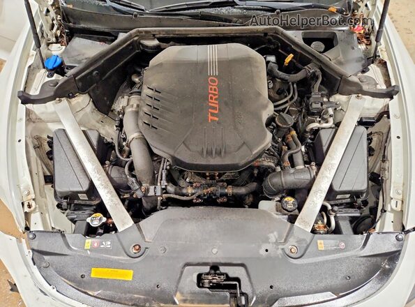 KNAE35LC5K6060207 2019 KIA STINGER Белый Вид подкапотного пространства