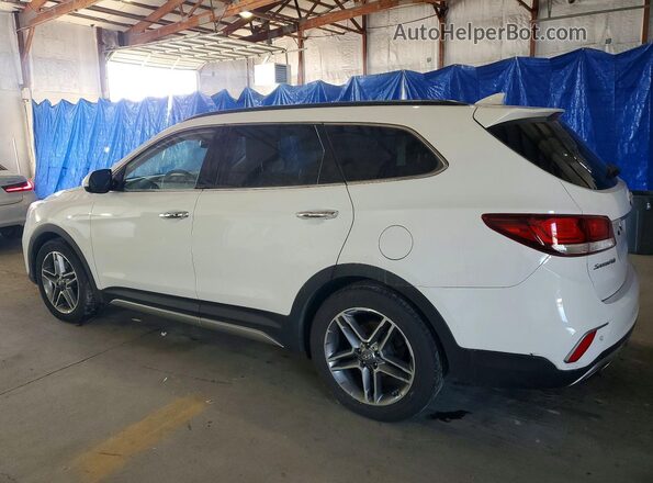 KM8SRDHF0HU170602 2017 HYUNDAI SANTA White Tył prawy
