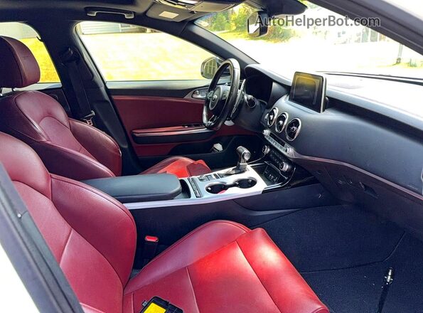 KNAE45LCXK6061463 2019 KIA STINGER Белый Вид сзади