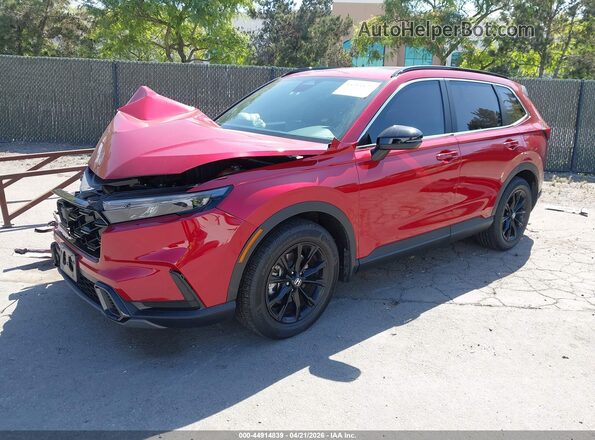 7FARS5H56SE015075 2025 HONDA CR-V HYBRID Красный Передняя левая четверть