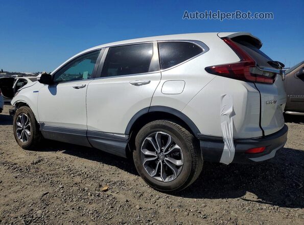 7FART6H85LE007130 2020 HONDA CR-V White Задня ліва чверть