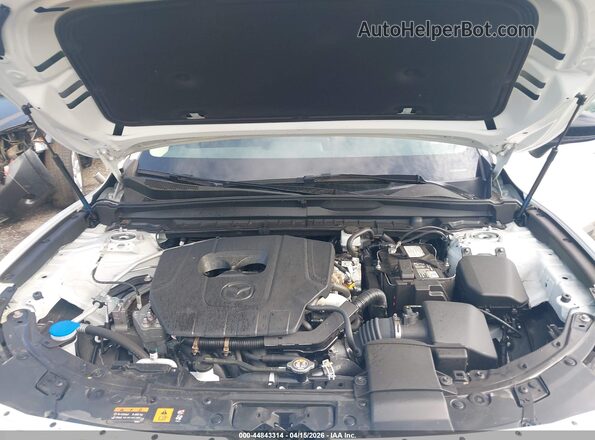 7MMVABDM6SN341565 2025 MAZDA CX-5 White უკანა ხედი