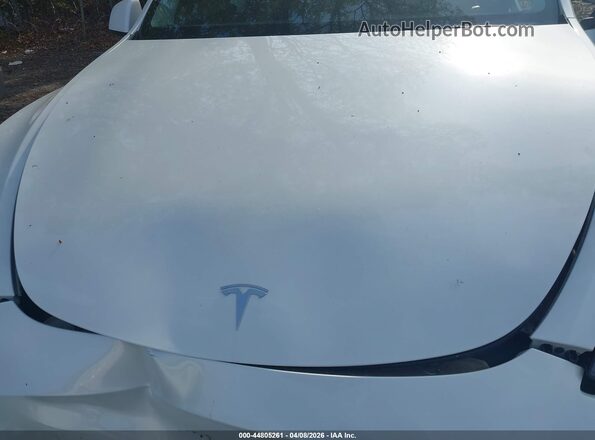 7SAYGDED2RA332070 2024 TESLA MODEL Y White Вид ззаду