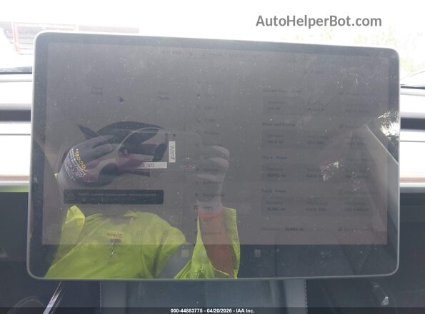 7SAYGDED3RF207310 2024 TESLA MODEL Y Blue Հետևի նստատեղերի տեսք