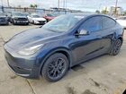 2025 Tesla Model Y Gray vin: 7SAYGDED5SF249158