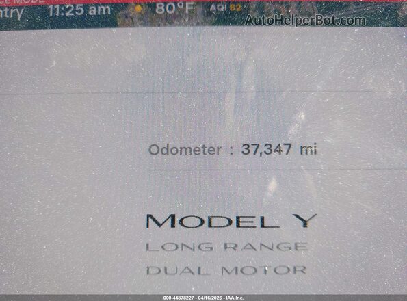 7SAYGDEE0PA116319 2023 TESLA MODEL Y Black 