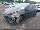2023 Tesla Model Y Awd/long Range Dual Motor All-wheel Drive Black vin: 7SAYGDEE6PA180980