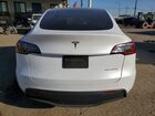 2024 Tesla Model Y White vin: 7SAYGDEE6RA228190