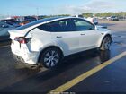 2023 Tesla Model Y   White vin: 7SAYGDEE7PA149348