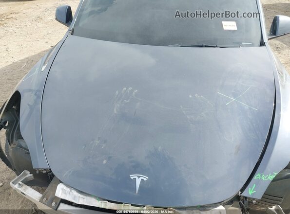 7SAYGDEE8NA009256 2022 TESLA MODEL Y Gray უკანა ხედი