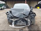 2023 Tesla Model Y   Black vin: 7SAYGDEE8PA182939