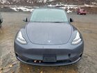 2022 Tesla Model Y Gray vin: 7SAYGDEEXNF318892