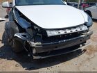 2024 Tesla Model Y Performance Dual Motor All-wheel Drive White vin: 7SAYGDEF5RF049442