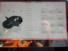 2023 Tesla Model Y Black vin: 7SAYGDEF6PF863550 2023 Tesla Model Y Black vin: 7SAYGDEF6PF863550