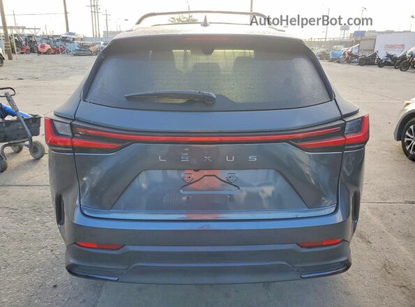 2T2GKCEZ7SC041067 2025 LEXUS NX Серый Вид салона спереди